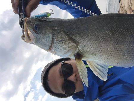 マイクロベイトパターン