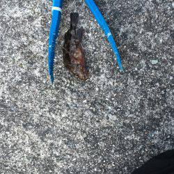 北風がきついです〜