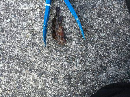 北風がきついです〜