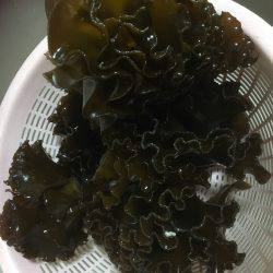 根魚は楽しいです