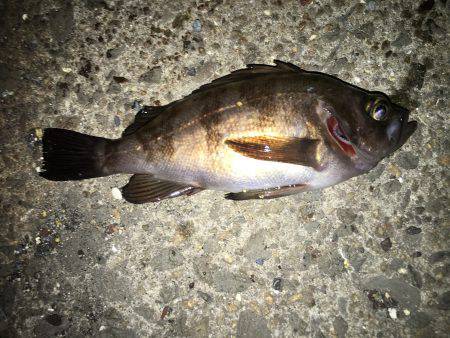 タイミング逃すなで…