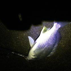 満潮から下げ始めで