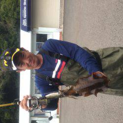 ちっちゃいですが、アオリイカ。