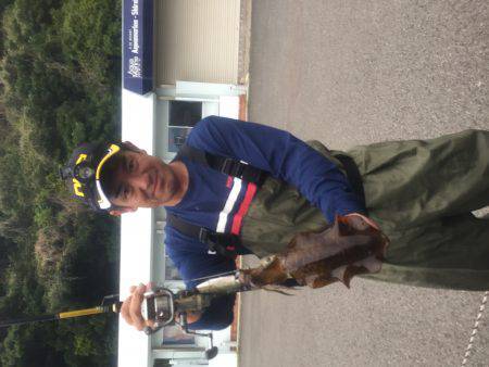 ちっちゃいですが、アオリイカ。