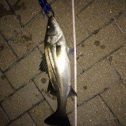 やっぱホームが1番