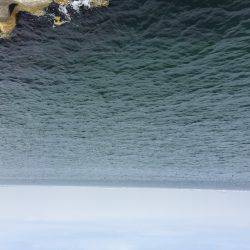 エビ撒き釣り修行