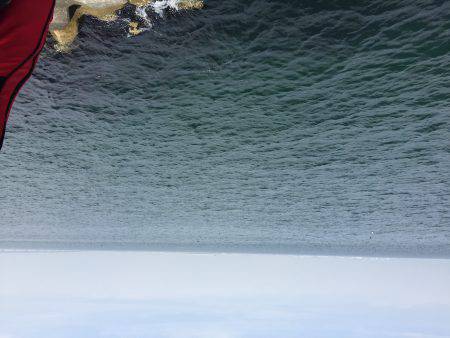 エビ撒き釣り修行