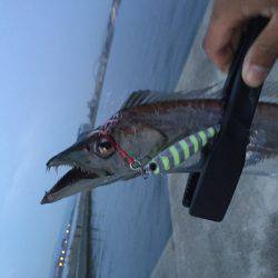 春タチ最高です!