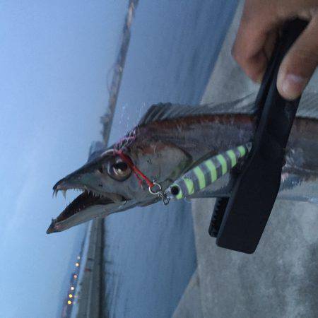 春タチ最高です!