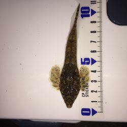 須磨海岸にてちょい投げ