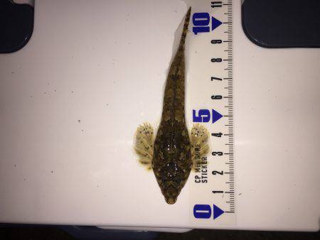 須磨海岸にてちょい投げ