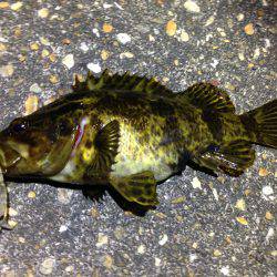 タケノコ狩り第２弾！