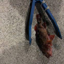 ランガンしてやっと