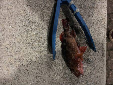 ランガンしてやっと