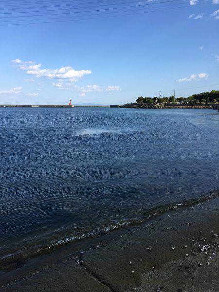 デイガシリング