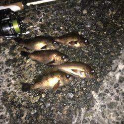 短時間メバリング