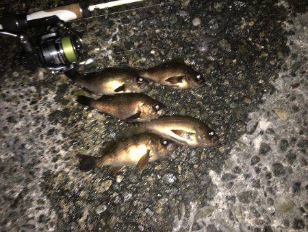 短時間メバリング