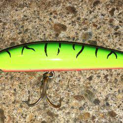 シーバスナイトゲーム