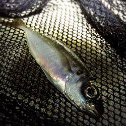 爆風フロートメバリング！