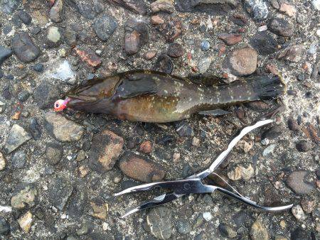 春うららデイゲーム！！