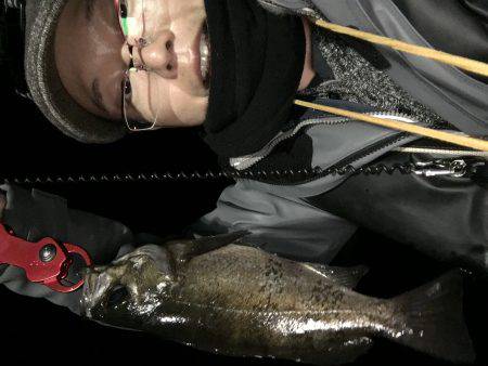 遠征に次ぐ遠征で