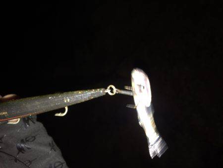 初バチパターン！