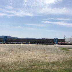 カタクチイワシ大好釣です