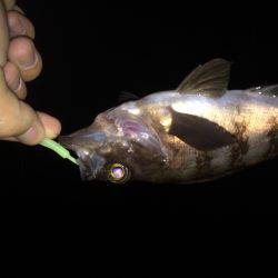 自己ベストメバル！！