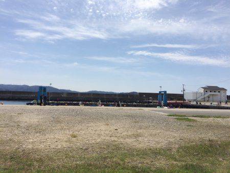 カタクチイワシ大好釣です