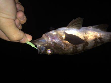 自己ベストメバル！！