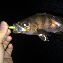 フロートメバリング