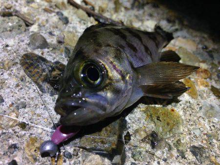 雨が降る前に。