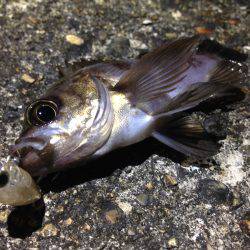 土砂降り後の修行！