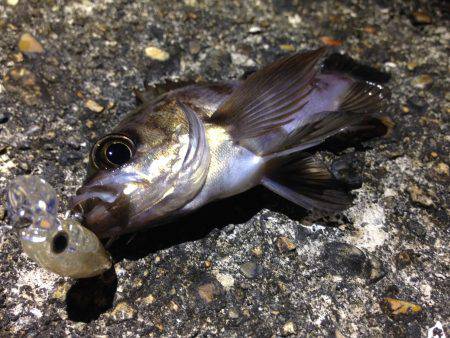 土砂降り後の修行！