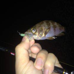 仕事終わりメバリング