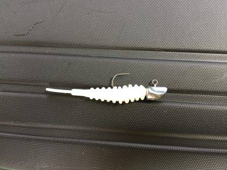 シーバスからのメバリング