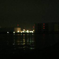 メバルを求めて(^^)