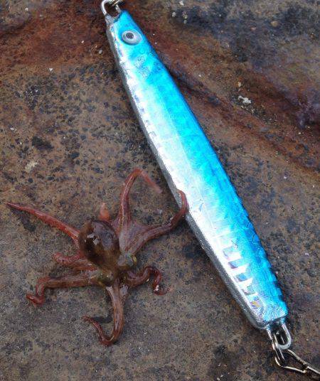 一ヶ月ぶりの獲物