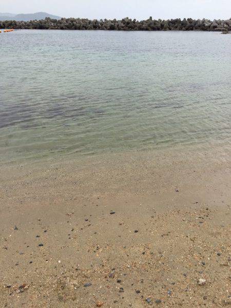 久々のエギング