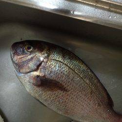 ショアで、、、！！