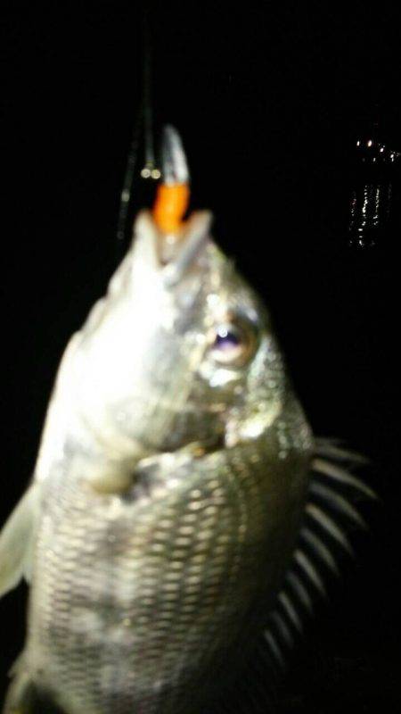 ハチマルに一歩届かず^_^