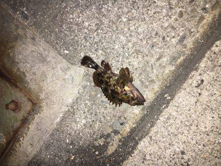 北風が冷たいよ