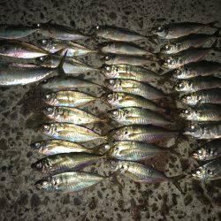 テクニカルアジング