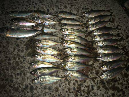 テクニカルアジング