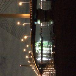 メバルに会えない日が続きます