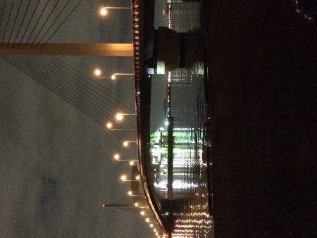 メバルに会えない日が続きます