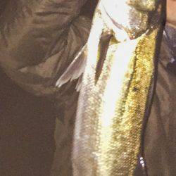 一時間だけの釣行