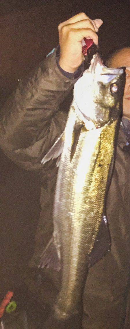 一時間だけの釣行