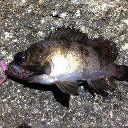 浅くても安心。