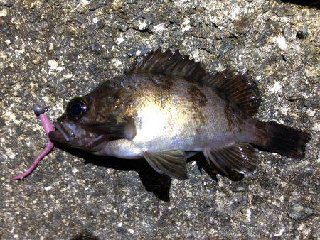 浅くても安心。